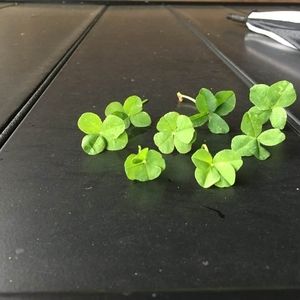 Meet your Posher, Barbs